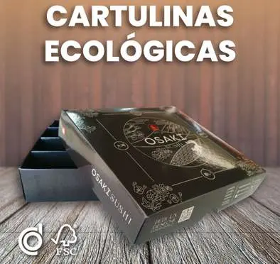 Cartulinas Ecológicas